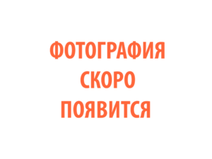 Фото 83 - Горелка PRO TS 26.